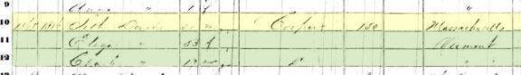 1860 census record for Seth, Eliza, and Charles Davis of New Trier Township. Seth's occupation is listed as a cooper. Charles enlisted in the Union army the following year. 